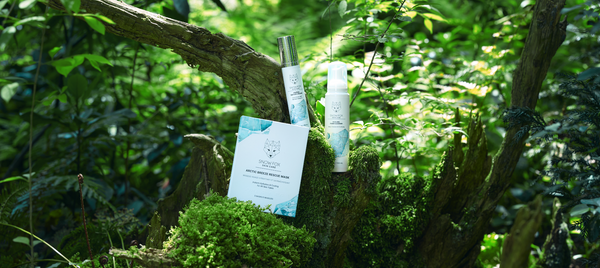 【GO SUB 導入事例】独自開発の肌にやさしいスキンケア SNOW FOX SKINCARE様 定期便事例をご紹介!
