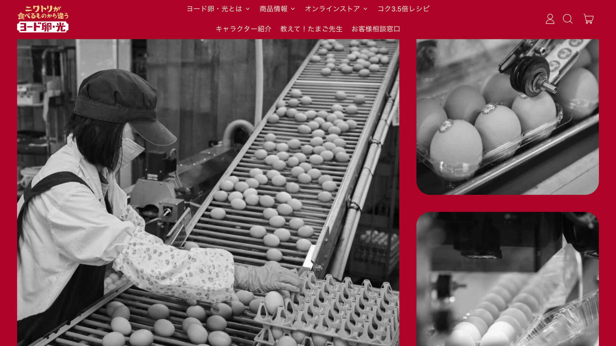 ヨード卵・光 公式オンラインサイト