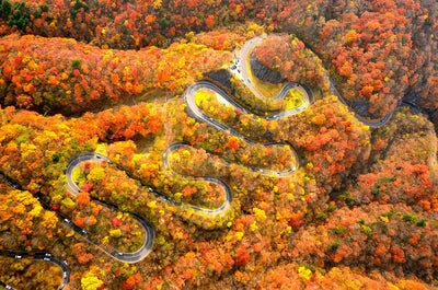 It's like a postcard! Nikko Iroha Saka's Autumn Leaves Drive