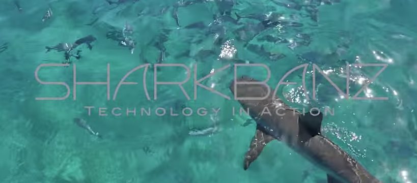 [SURF LIFE] SHARK BANZ サメよけを使ってみた！