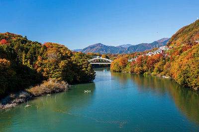 [TRAVEL]都内からたった１時間で行ける紅葉スポット　相模湖が絶景　