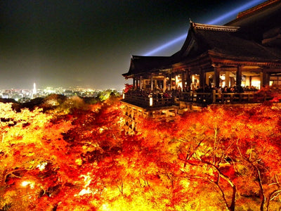 [Travel] The autumn leaves of Kiyomizu -dera are amazing! Light-up is also the official Instagram of Kiyomizu-dera Temple on November 14 (Sat) -12/6 (Sun)!