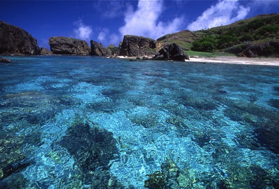 [Travel] Surfed to Ogasawara Islands to Chichijima