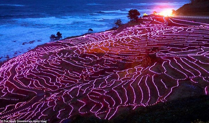 [石川県] 幻想的な絶景！千枚田イルミネーション
